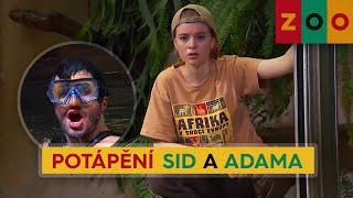 ZOO (29) - Potápění Sid a Adama