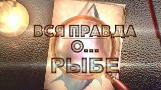 Вся правда о… рыбе