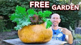 I Spent a Year Growing a Gourd, Then Grew a Garden in it!