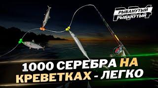 Норвежское море ФАРМ СЕРЕБРА на КРЕВЕТКАХ ● Русская Рыбалка 4