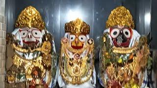 Swagatika Pani Official  is live l Suna Besha of Lord JagannathPausa Purnima Special Odia