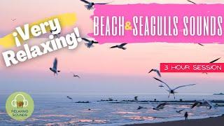 BEACH SOUNDS WITH SEAGULLS 