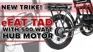 ALL NEW ELECTRIC TRIKE! The E-Fat Tad - 500w Hub Motor - 9 Levels of Pedal Assist! - Utah Trikes