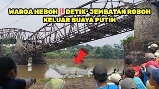 kejadian di nganjuk‼️detik² jembatan ambruk keluar buaya putih yang lagi viral SUDAH MASUK TV