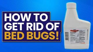 Getting Rid of Bed Bugs - Tips and Tricks || Tulsa Bed Bug Specialist