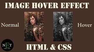 Image hover effect using html and css || NarenETech