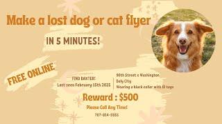 Make a lost pet flyer in 5 minutes