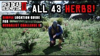 Red Dead Redemption 2 - How To Find All 43 Herbs Flowers Orchids! SIMPLE Location Guide!