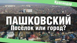 Цены на квартиры в Краснодаре. Пашковский, обзор района  | Жилищный вопрос