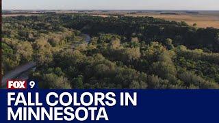 Fall colors in Minnesota: Finding the most brilliant fall foliage