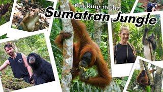 We did a 4 DAY JUNGLE TREK in Sumatra, and this is how it went...