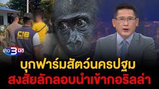 ข่าว3มิติ 25 ธันวาคม 2567 l บุกตรวจฟาร์มสัตว์ สงสัยลอบนำเข้ากอริลล่า เจ้าของรับแค่นำเข้ากระต่ายยักษ์