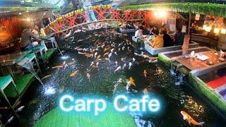 True-to-life ambiance | Carp Cafe tour | Chiang Mai Thailand