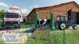 КУПИЛИ КОРОВ НА ФЕРМУ! ПЕТРОВИЧ ПОПАЛ В ДТП НА МАЗУРИКЕ! FARMING SIMULATOR 19