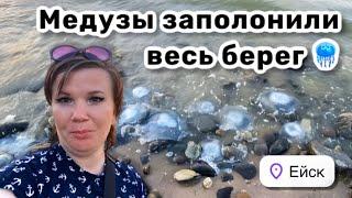 🪼 18. Медузы заполонили весь берег и вода холодная. Пообщалась с морем. Душевный вечерние посиделки.