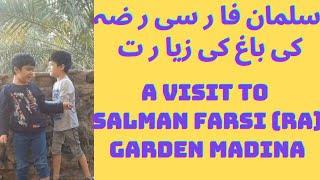 Salman Farsi (ra) Ka Bagh (Dates Garden) سلمان ن فا ر سی رضہ کی با غ کی زیا ر ت Madina Saudi Arabia