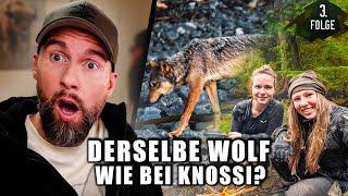 War derselbe Wolf auch bei Hannah und Affe?! Robert reagiert auf 7 vs. Wild: Teams Folge 3