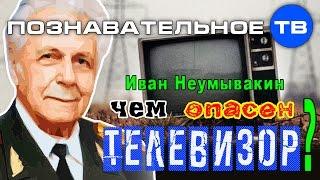 Чем опасен телевизор? (Познавательное ТВ, Иван Неумывакин)