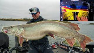 FAT FALL MUSKY CAUGHT USING SIDEIMAGING (6 FISH DAY!!!)