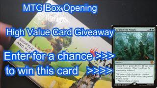 MTG The Brothers war Jumpstart. High Value Card Give Away, Magic The Gathering Awaken the Woods