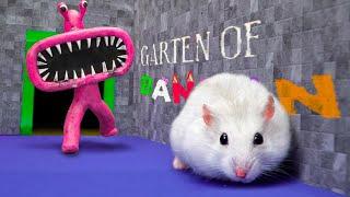 Hamster Adventures In Monster Maze With Traps - The Impossible Hamster Challenges