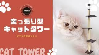 突っ張りキャットタワーの設置に関するポイント