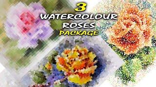  3 Best Watercolor Rose Painting Tutorials Beginners to Advanced | गुलाब फूल पेंटिंग