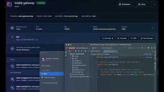JetBrains IntelliJ as a Web IDE and with Gateway (thick client)