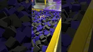 foam pit swallows millie