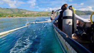 A 'Deep Dive' into the Fascinating Reefs of Timor-Leste