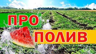 Про полив  26 06 21