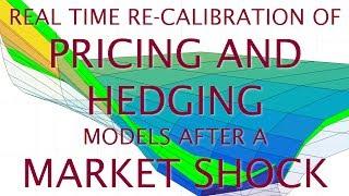 How To Re-calibrate Financial Models In Real Time?