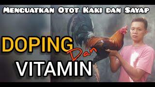 Tiga Pasangan Doping & Vitamin Untuk Pengkondisian Ayam Sebelum Berlaga