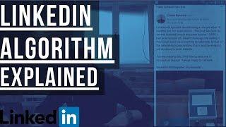 Learning Marketing | Linkedin Algorithm Explained | Linkedin Content Marketing 101