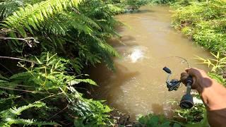 SUNGAI INI JANGAN DI UJI COBA PASTI BESAR YANG PERTAMA 