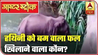 Kerala: Pregnant Elephant Killed After Being Fed Cracker-Filled Pineapple | Master Stroke | ABP News