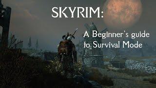 Skyrim: A Beginner's guide to Survival Mode