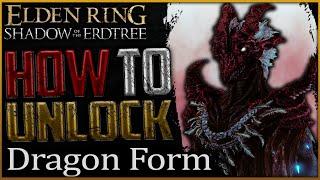 Elden Ring: How to Get Dragon Form - Full Igon Questline (Shadow Of The Erdtree)