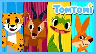 Zum Zum Carrera De Animales | Canciones de animales| Canciones Infantiles | TOMTOMI en español