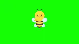 Green Screen Butterfly Animation, Butterflying Videos, Cartoon Butterfly