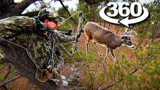 360 Degree DEER HUNT!  (12 Yard Bow Shot!)