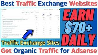 Best Traffic Exchange Websites | Get Organic Traffic for Adsense | Traffic Exchange Sites