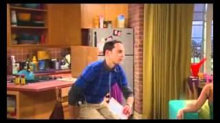 The Big Bang Theory - Schrodinger's cat
