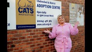 Gemma Collins visits Cats Protection Chelmsford Adoption Centre