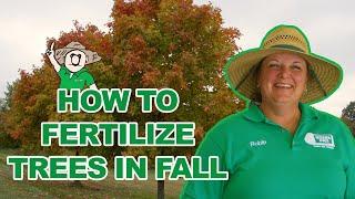 How to Fertilize Trees in the Fall