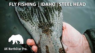 Fly Fishing | Idaho | Steel Head