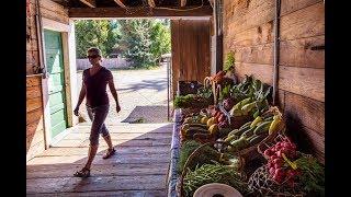 Visit Four Elements Organic Farm in Puyallup