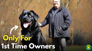 TOP 10 Large Size Dog Breeds ONLY For 1st Time Owners!