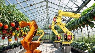 CHINA'S SMART VERTICAL FARMING Leveled Up: The Fastest?