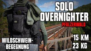 24 h Solo Overnighter - Pfälzerwald | Wildschweine | Eisenbahn Lost Place | Trekking | 15 km + 23 kg